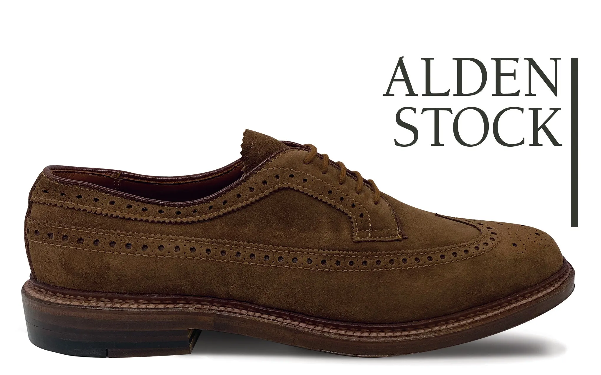 ALDEN 9794 Snuff Suede Long Wing Blucher