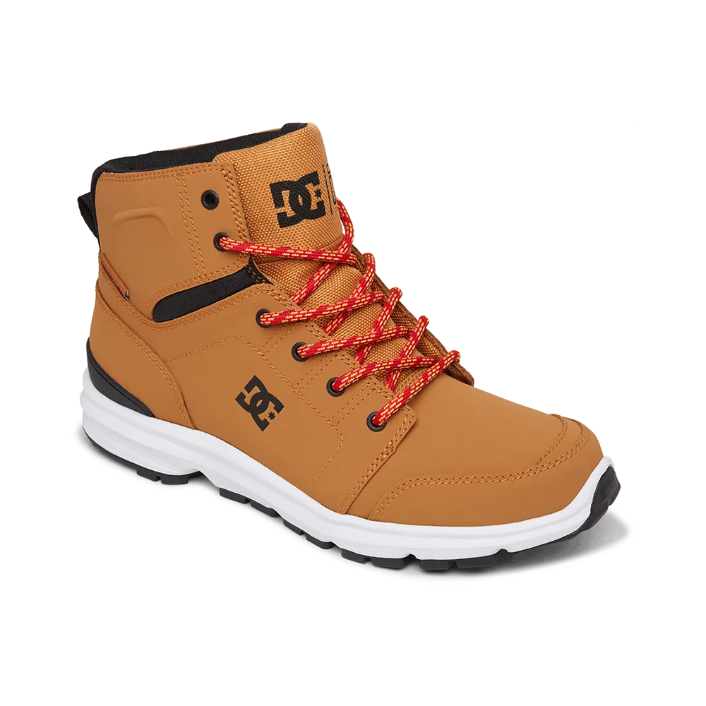 DC Shoes - Torstein
