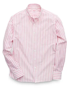 Driscoll Stripe Oxford (Rose)