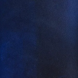 Gentleman in Dark Navy