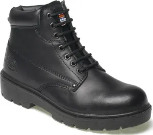 Safety Boot Antrim Dickies / Buy Online