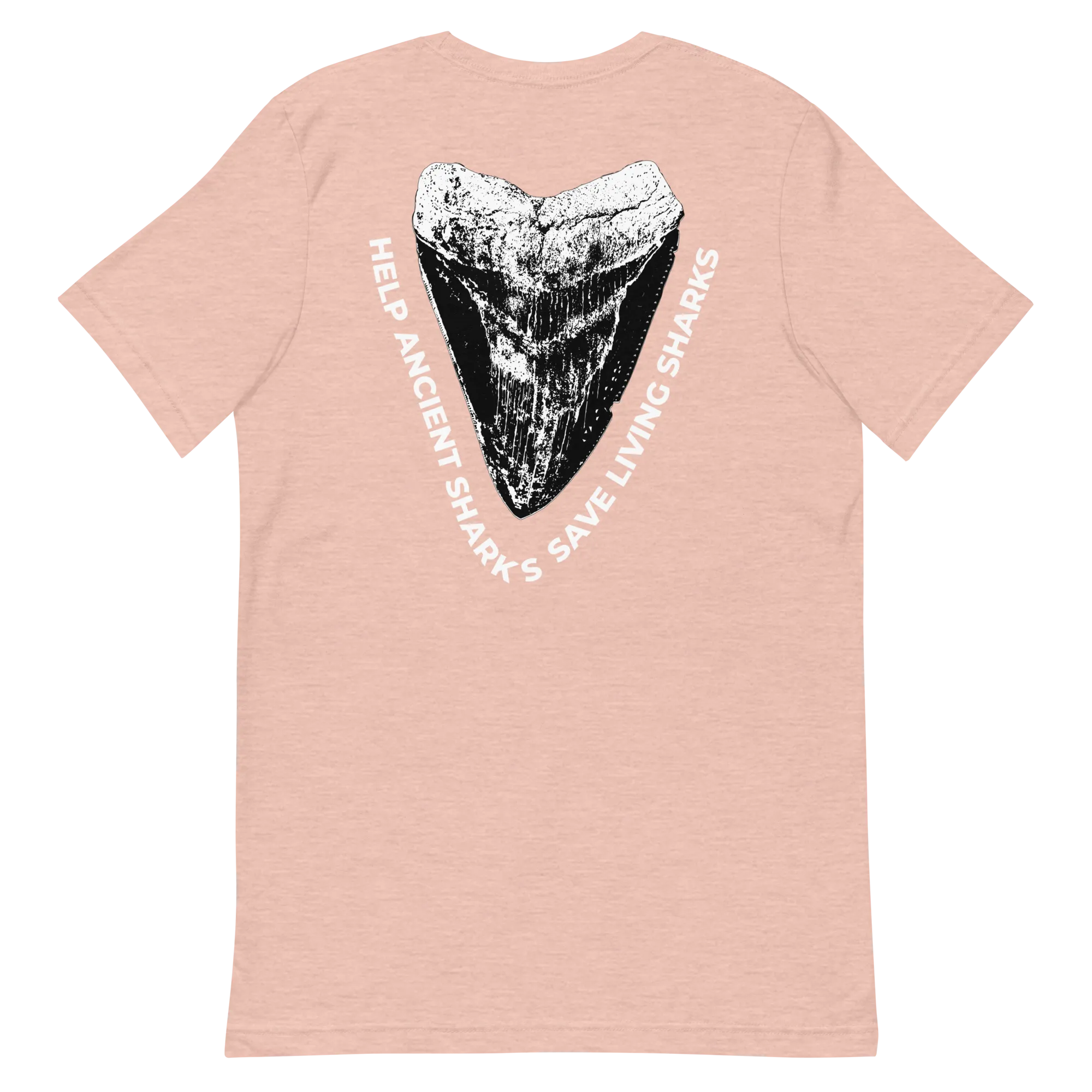 SHRKco Classic Megalodon Tee