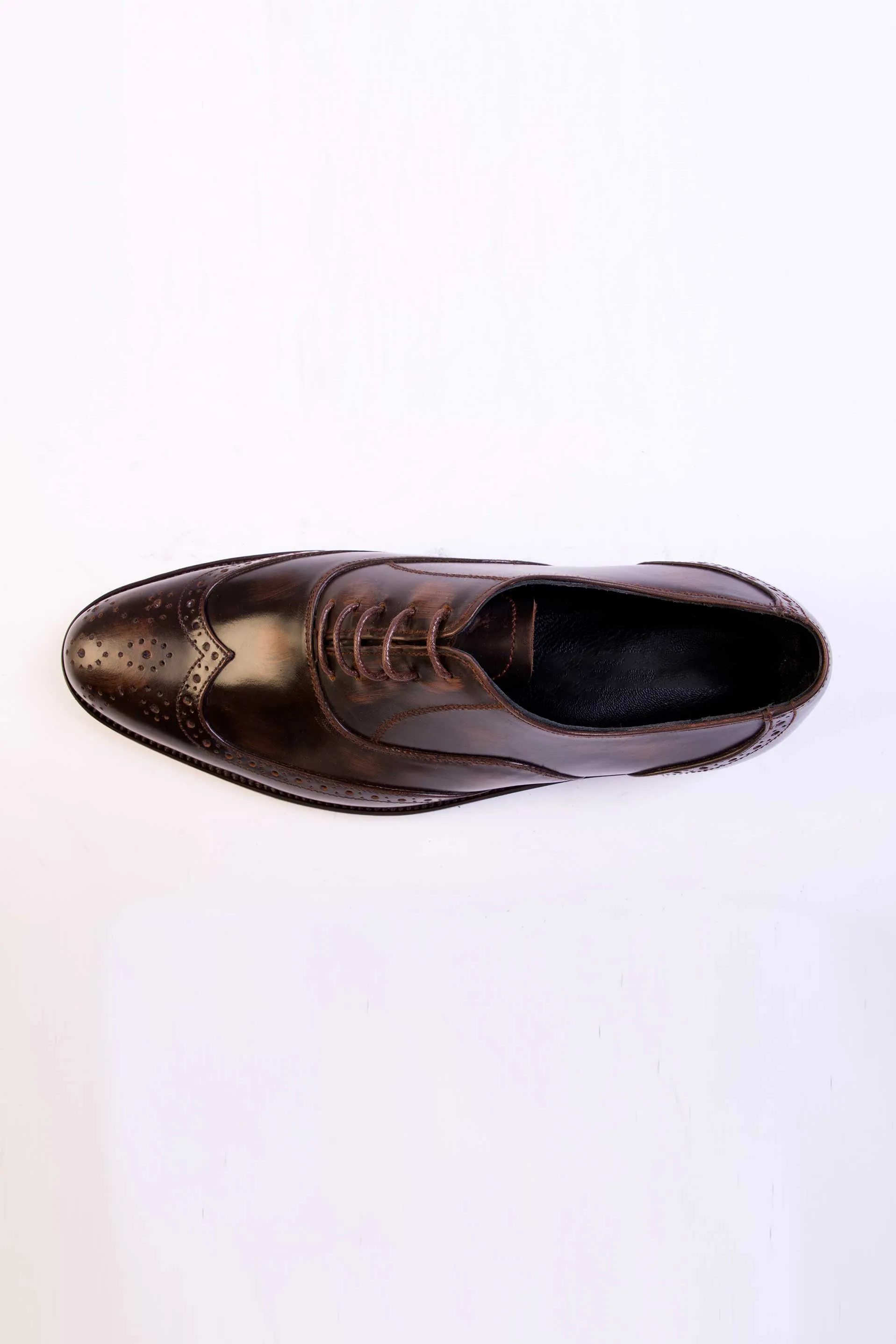 The Salemanco Brogue  // Burnished Brown